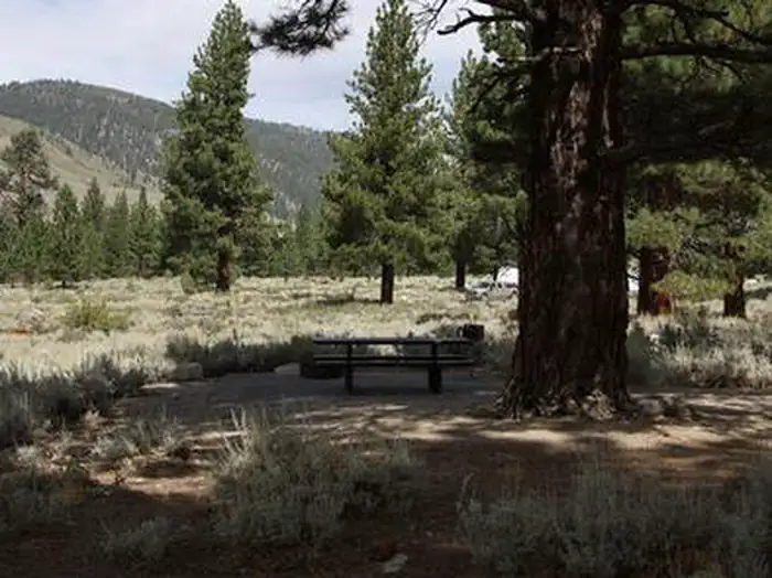 CRAGS CAMPGROUND photo 2