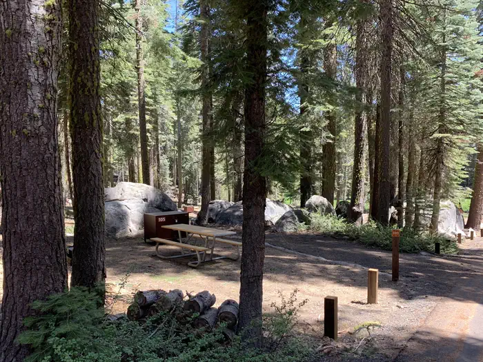 Crane Flat Campground photo 2