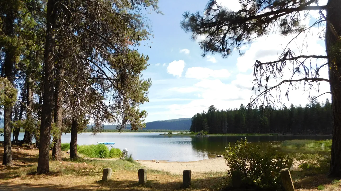 Crane Prairie Campground photo