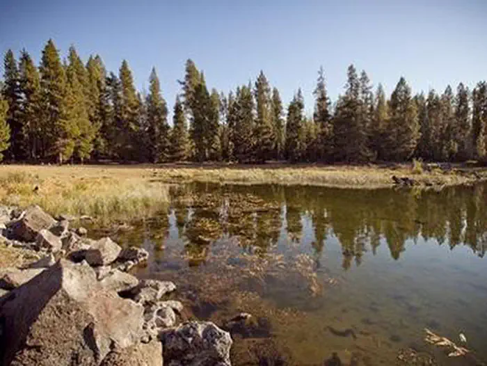 Crane Prairie Campground photo 3