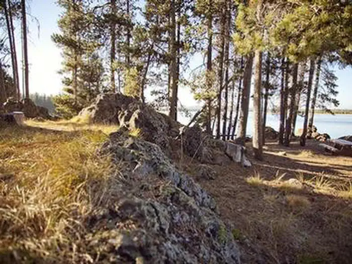 Crane Prairie Campground photo 5