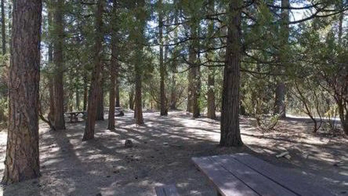 CRANE VALLEY photo