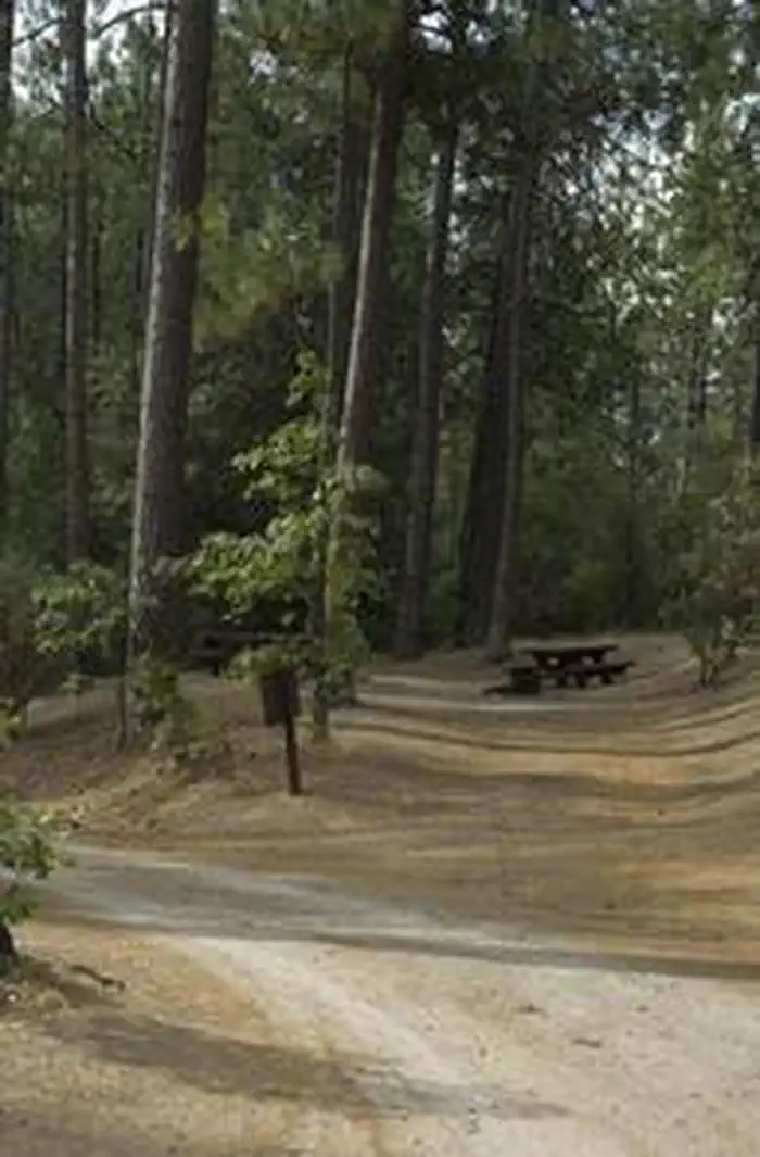 CRANE VALLEY photo 4