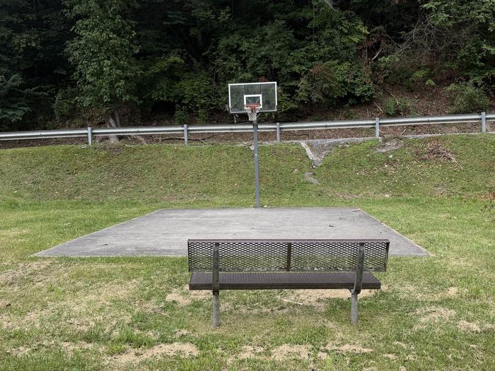 CRANESNEST CAMPGROUND (VA) photo 3