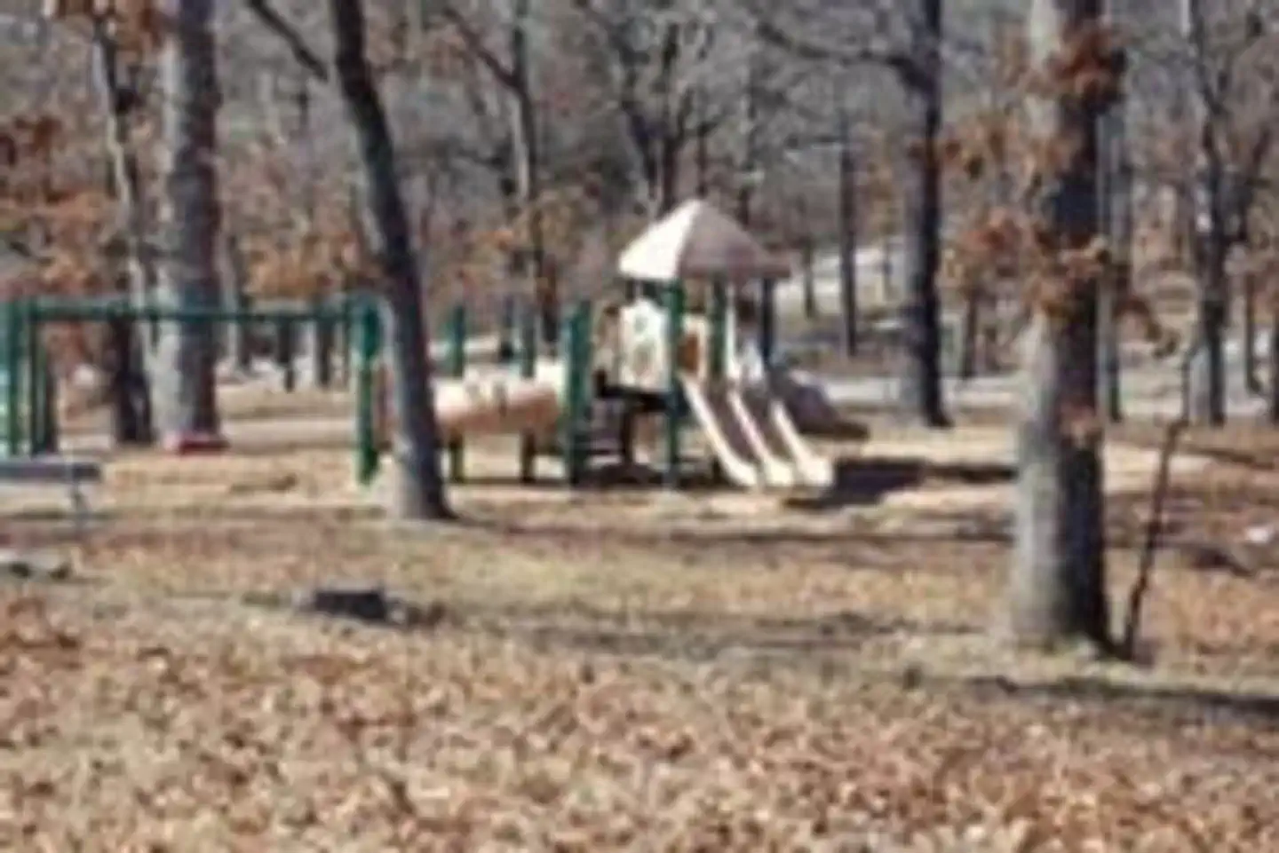 CRANFIELD PARK photo 3