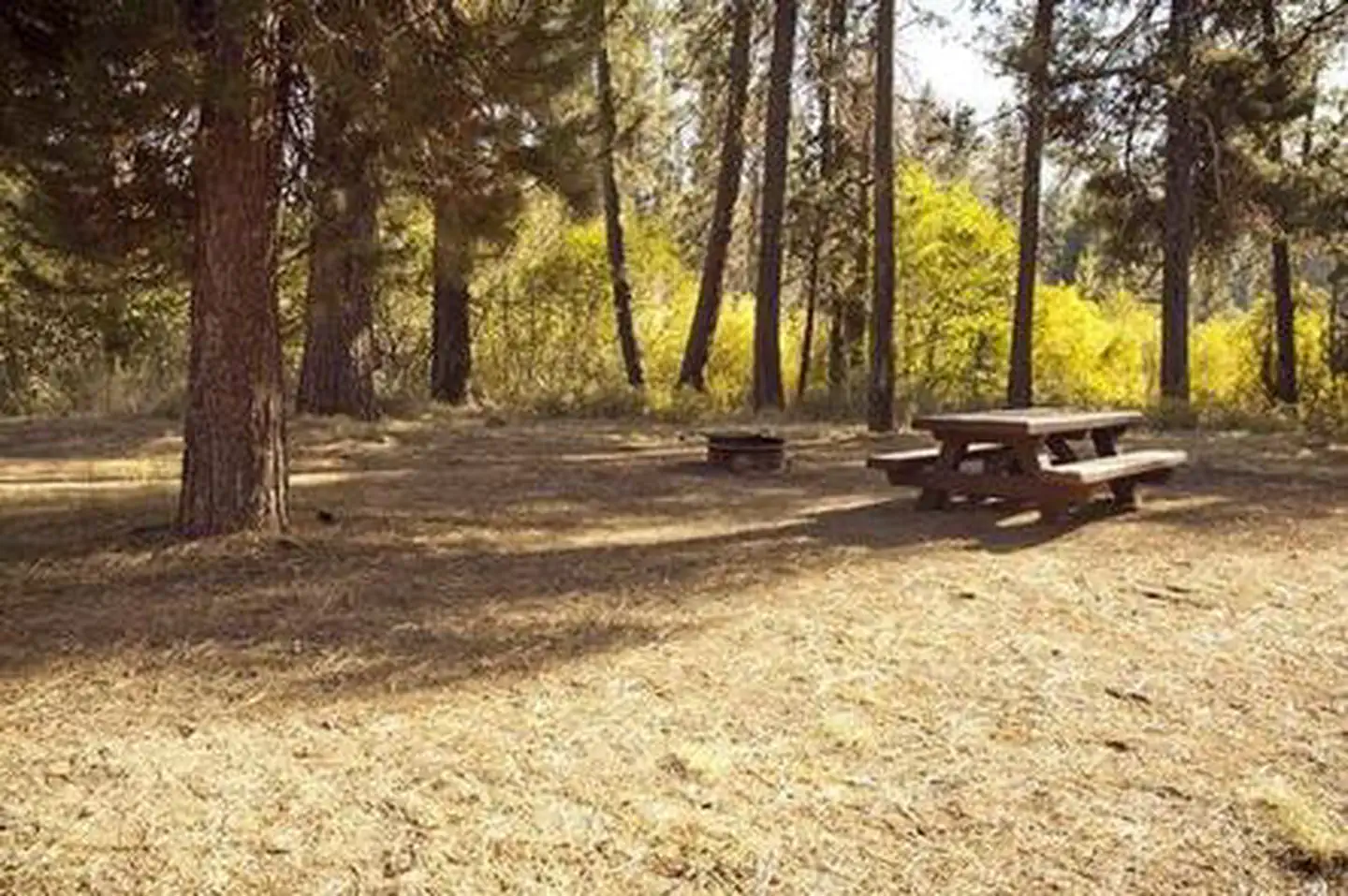CRESCENT CREEK CAMPGROUND photo