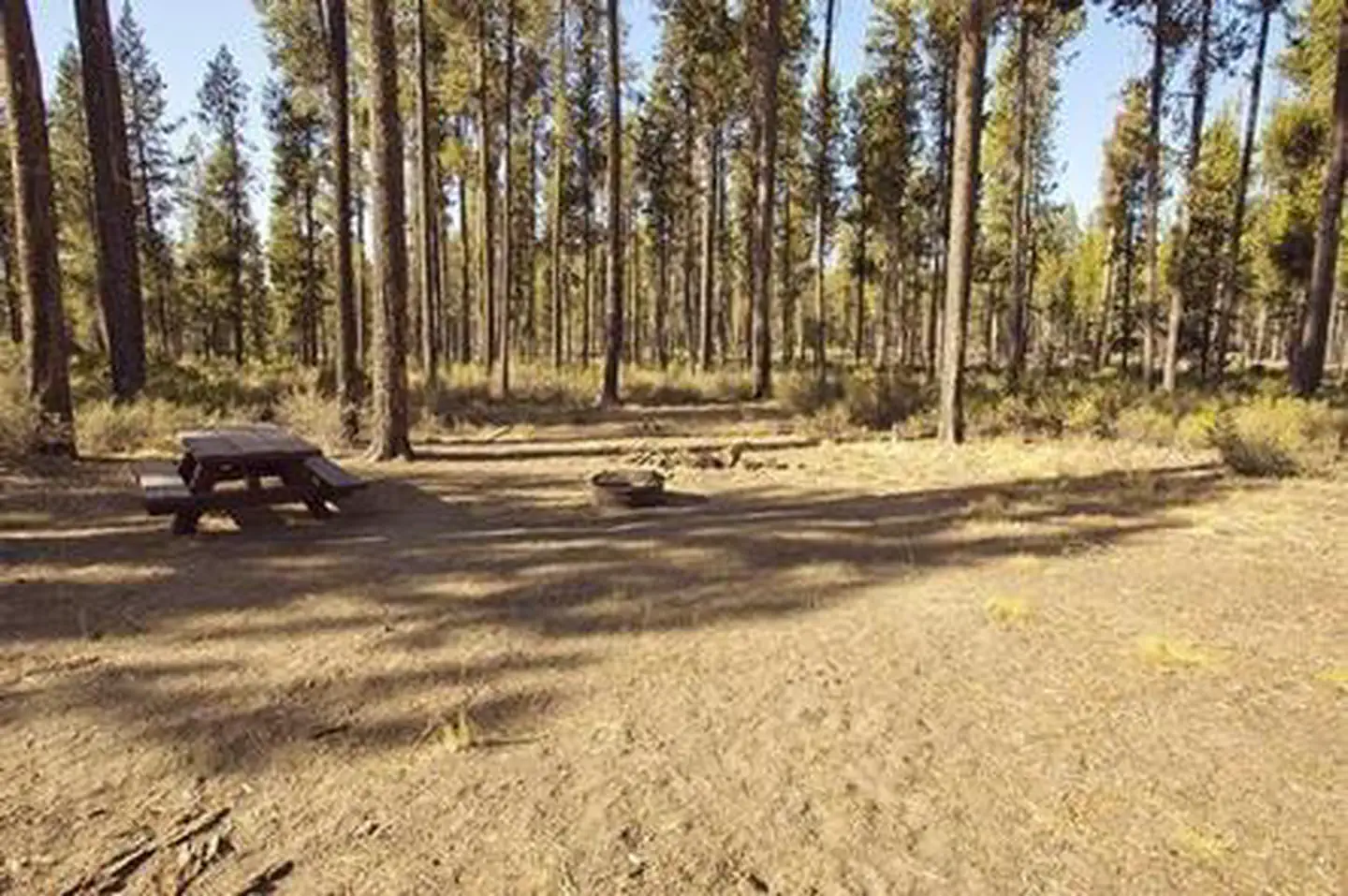 CRESCENT CREEK CAMPGROUND photo 3