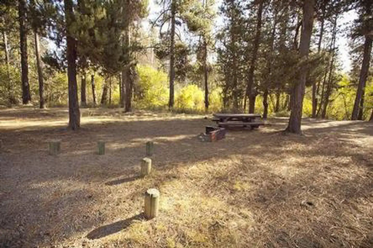 CRESCENT CREEK CAMPGROUND photo 4