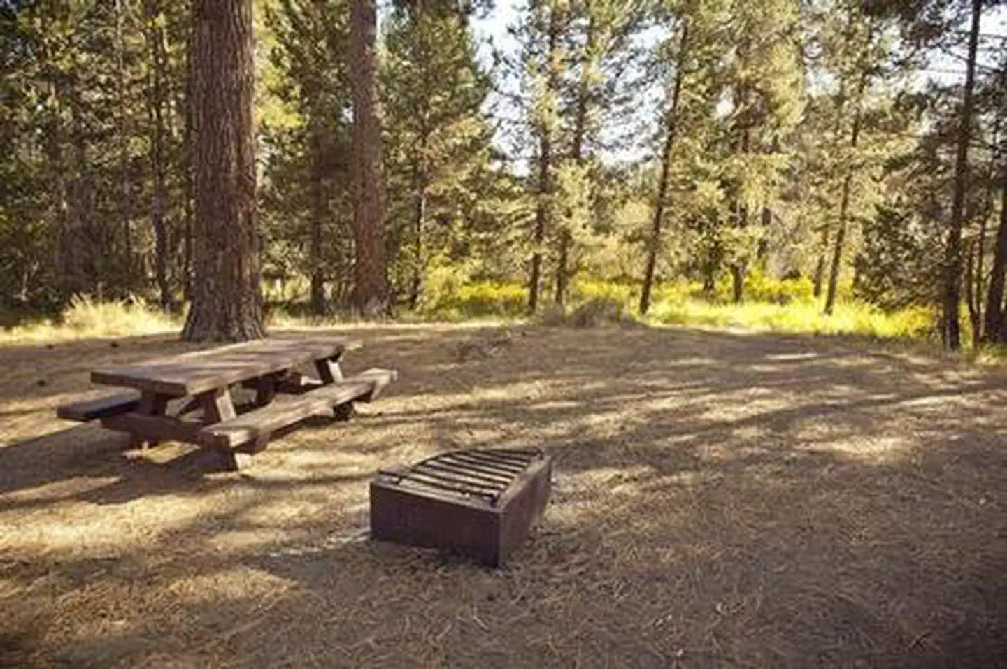 CRESCENT CREEK CAMPGROUND photo 5