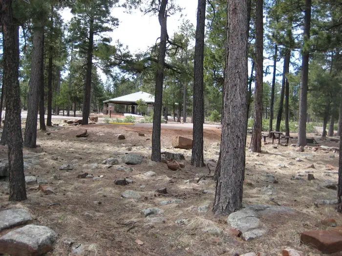CROOK CAMPGROUND photo 2