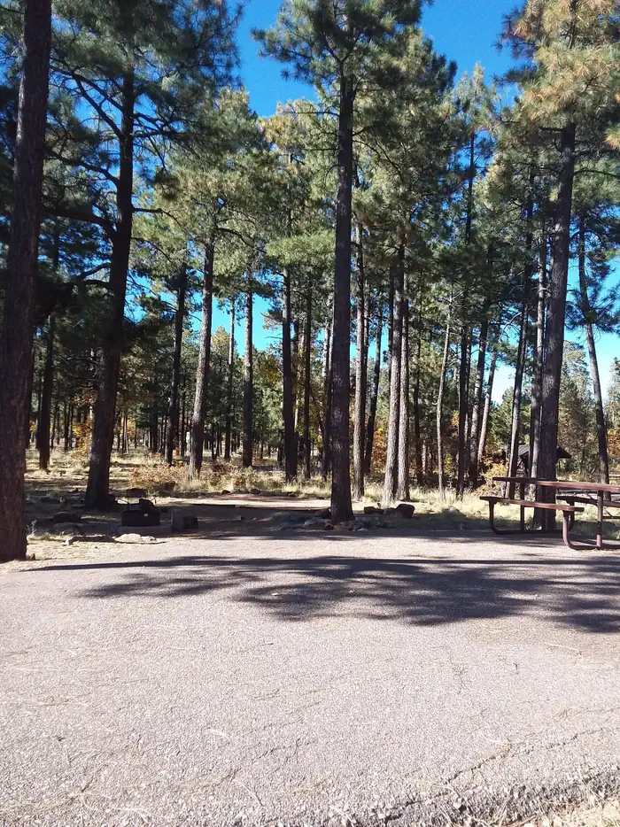 CROOK CAMPGROUND photo 4