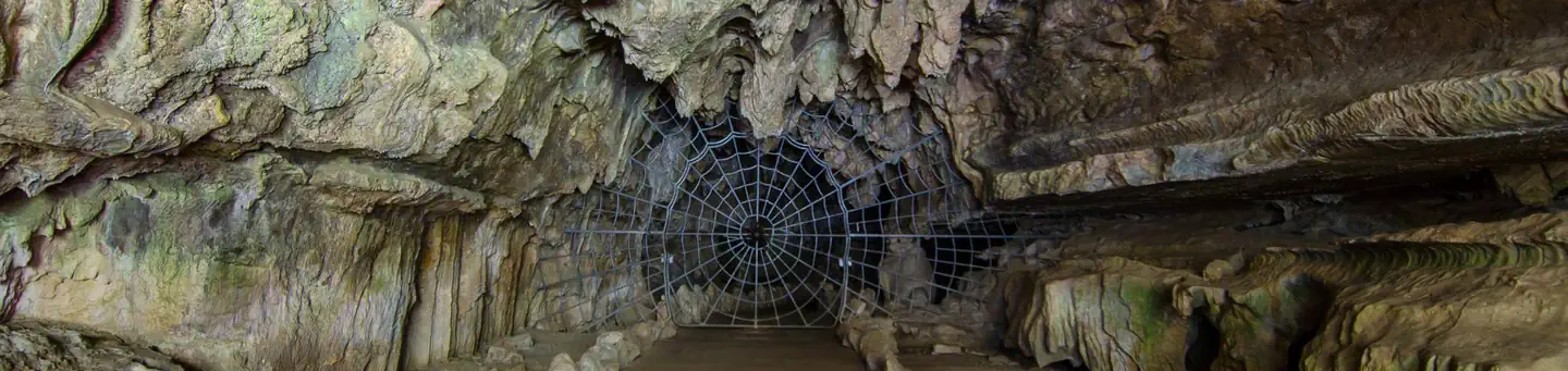 Crystal Cave Tours Sequoia National Park photo