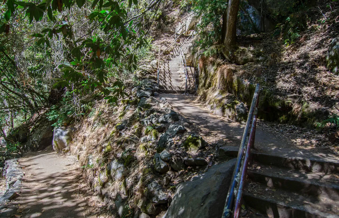 Crystal Cave Tours Sequoia National Park photo 4