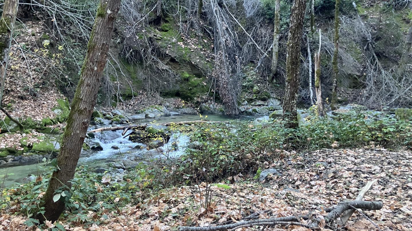 CRYSTAL CREEK PRIMITIVE CAMPGROUND photo