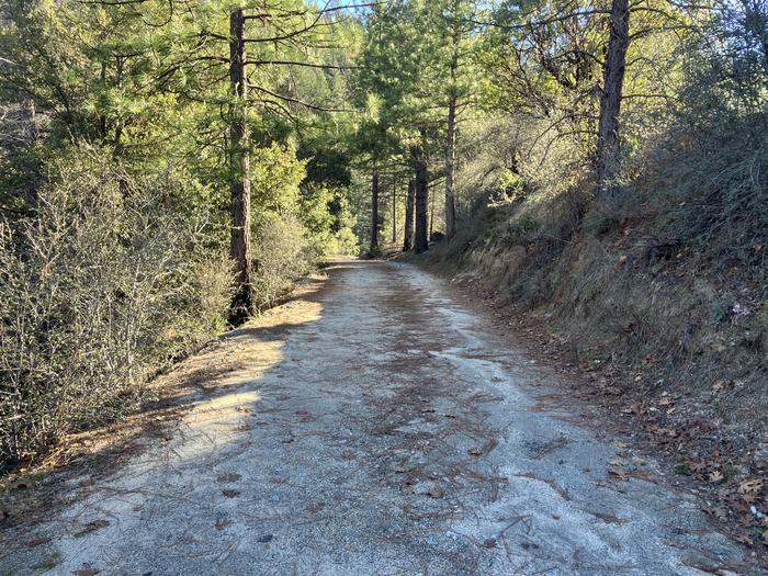 CRYSTAL CREEK PRIMITIVE CAMPGROUND photo 4