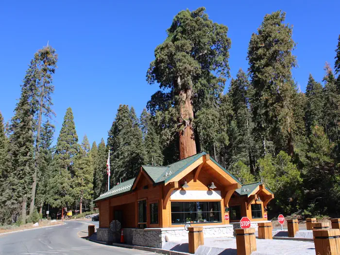 Crystal Springs Campground (CA) photo 2