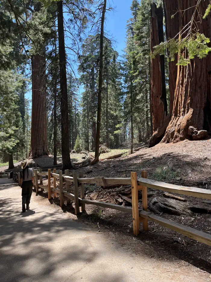 Crystal Springs Campground (CA) photo 5