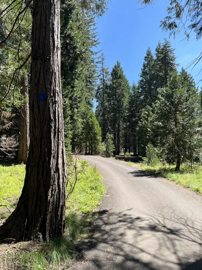 Crystal Springs Campground Mid-Sized Group Sites photo 2