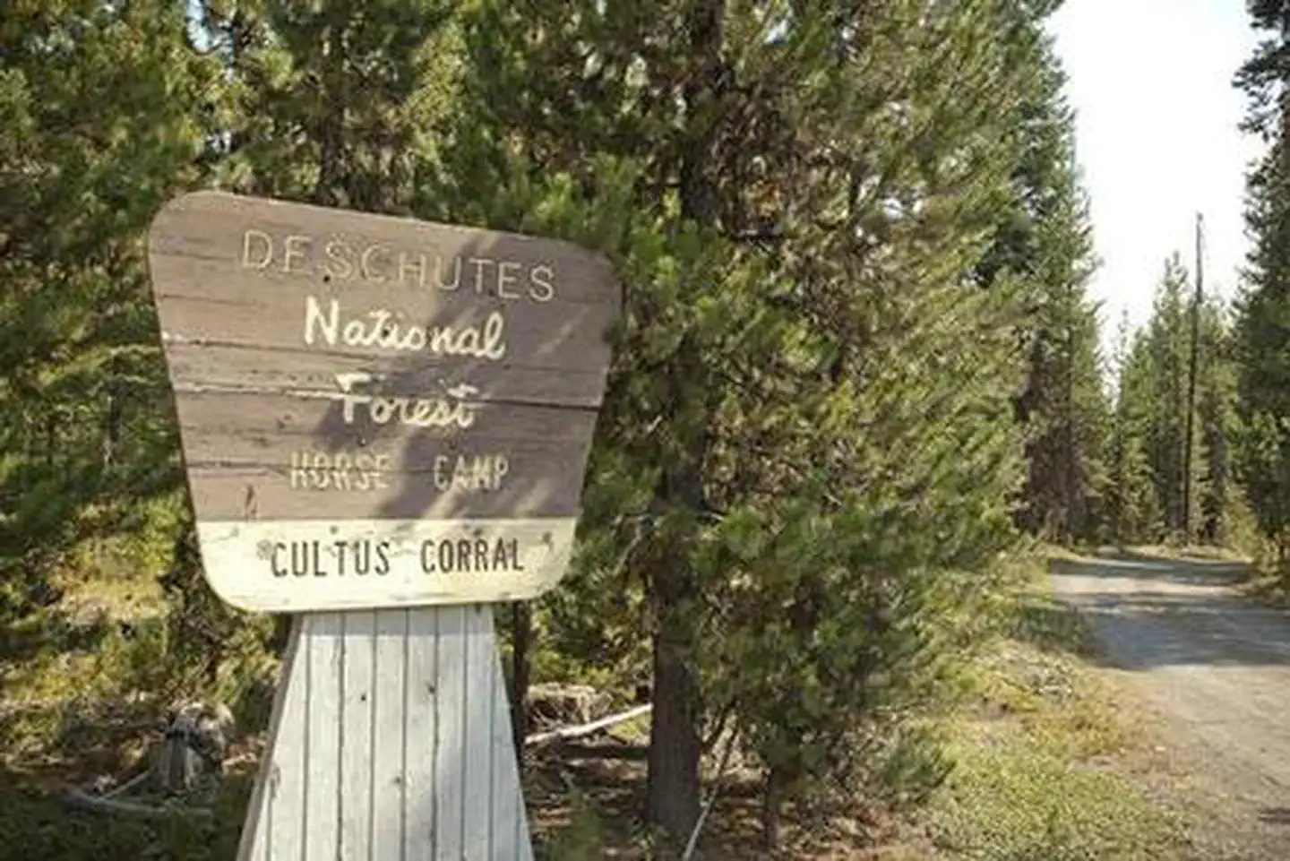 CULTUS CORRAL HORSE CAMP photo 2