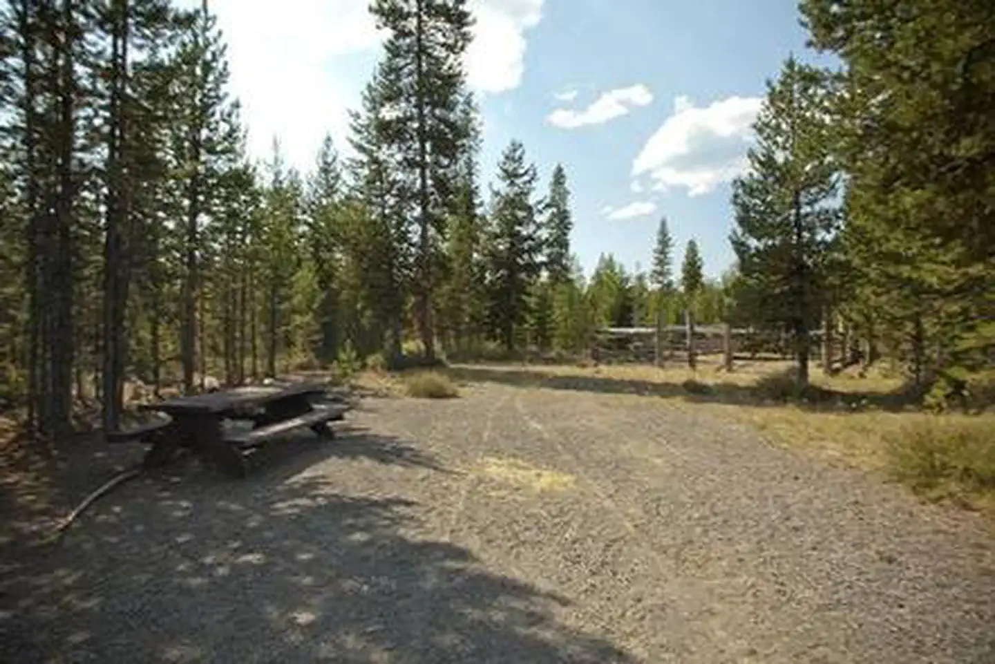 CULTUS CORRAL HORSE CAMP photo 4