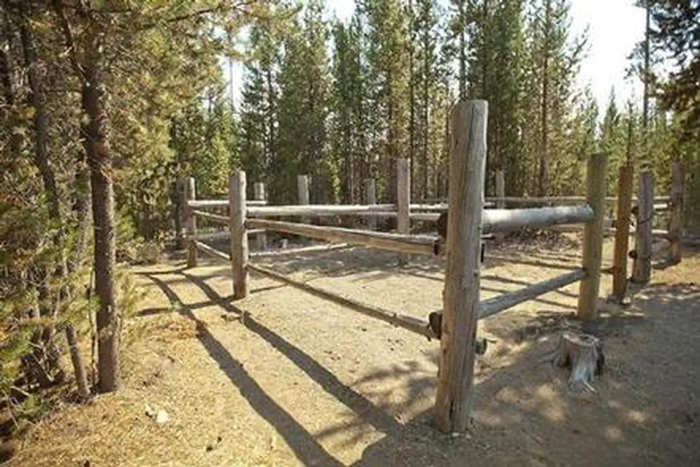 CULTUS CORRAL HORSE CAMP photo 5