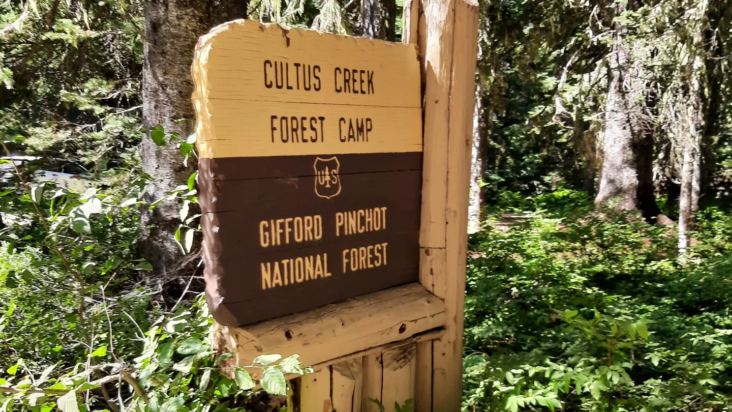 CULTUS CREEK CG (WA) GIFFORD PINCHOT NF photo