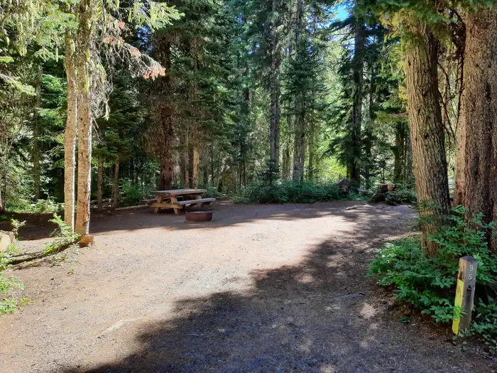 CULTUS CREEK CG (WA) GIFFORD PINCHOT NF photo 3