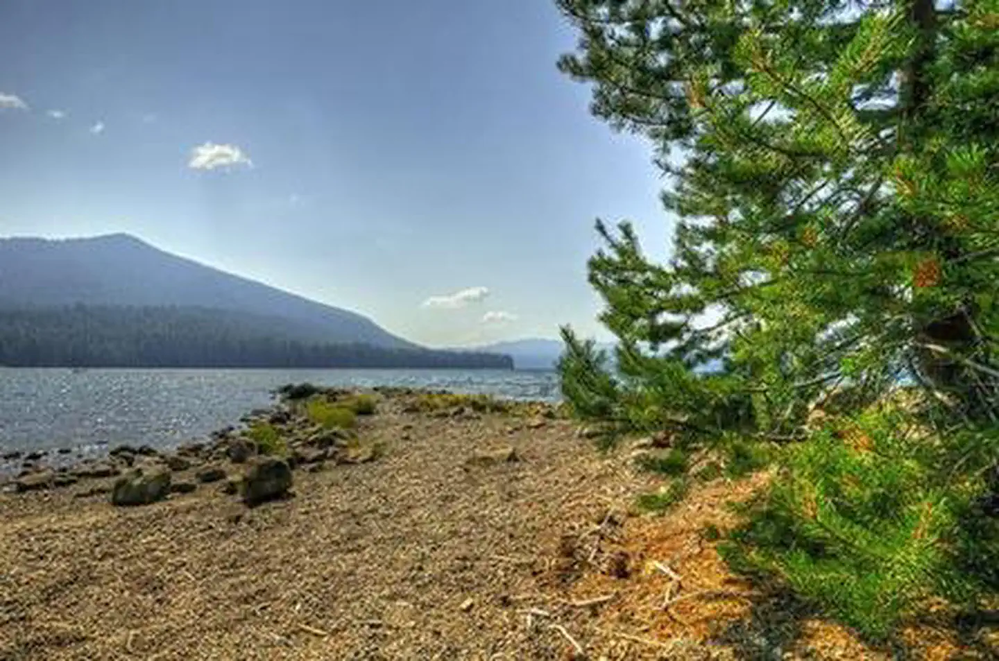 CULTUS LAKE CAMPGROUND photo 5