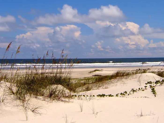 Cumberland Island National Seashore Camping Permits photo