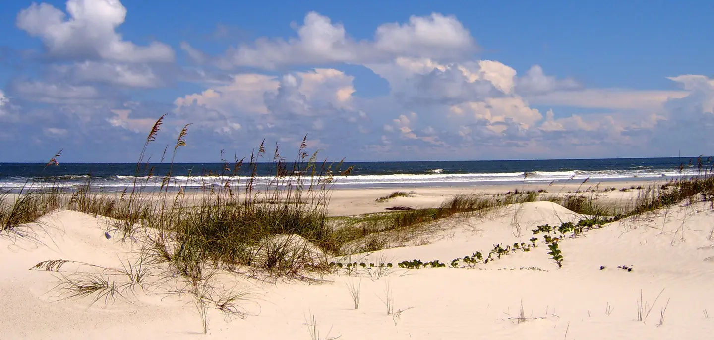 Cumberland Island National Seashore Camping Permits photo 3