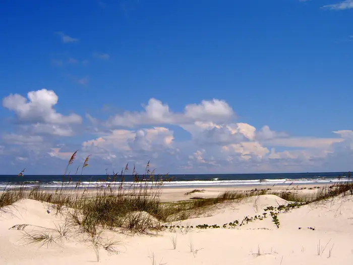 Cumberland Island National Seashore Camping Permits photo 4