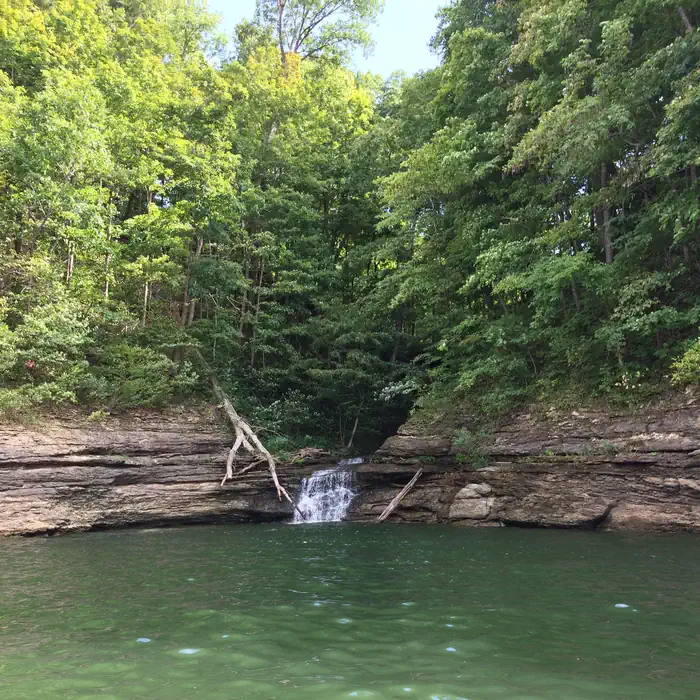 CUMBERLAND POINT CAMPGROUND photo 4