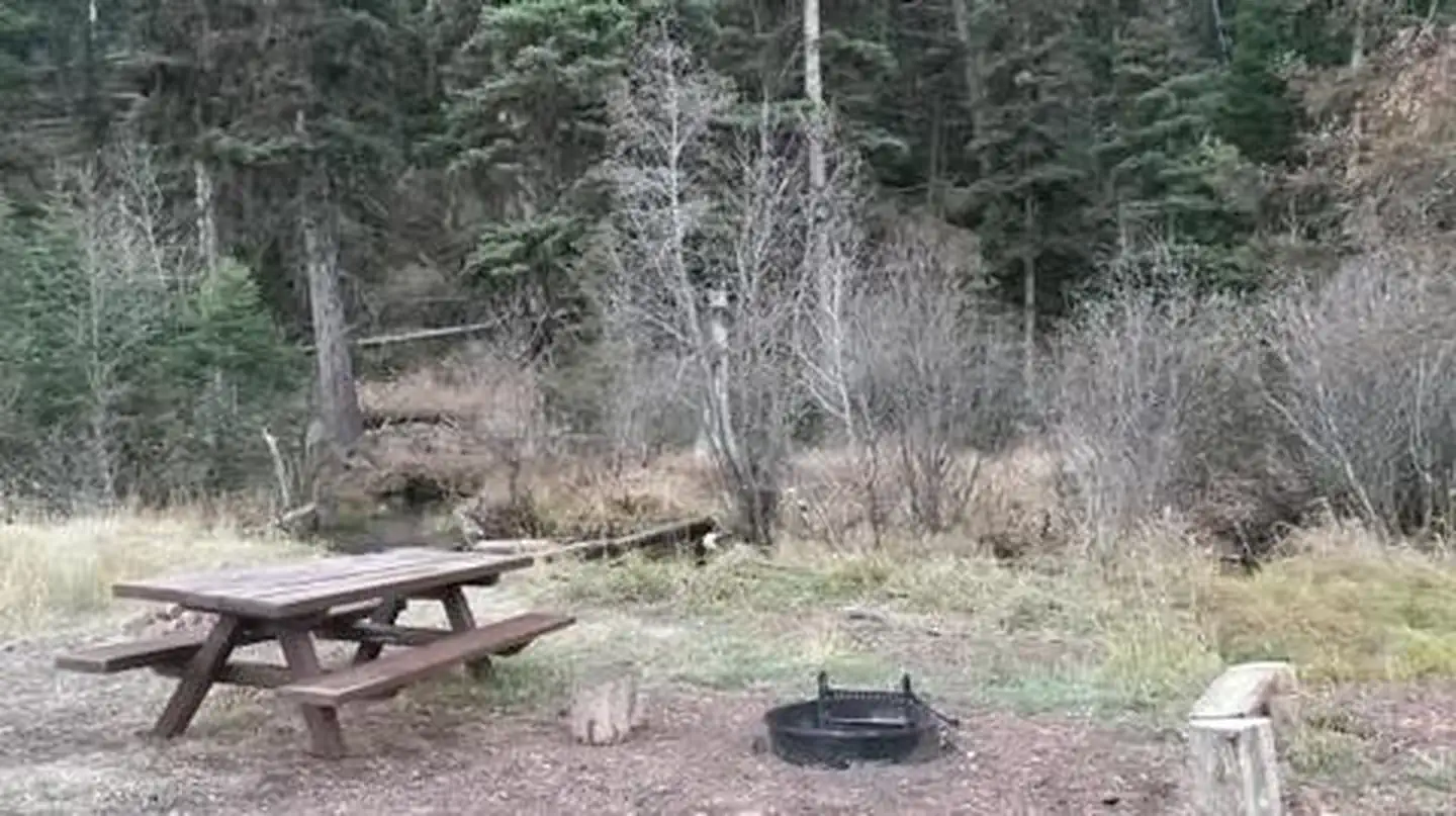 CUMMINGS CABIN photo 5