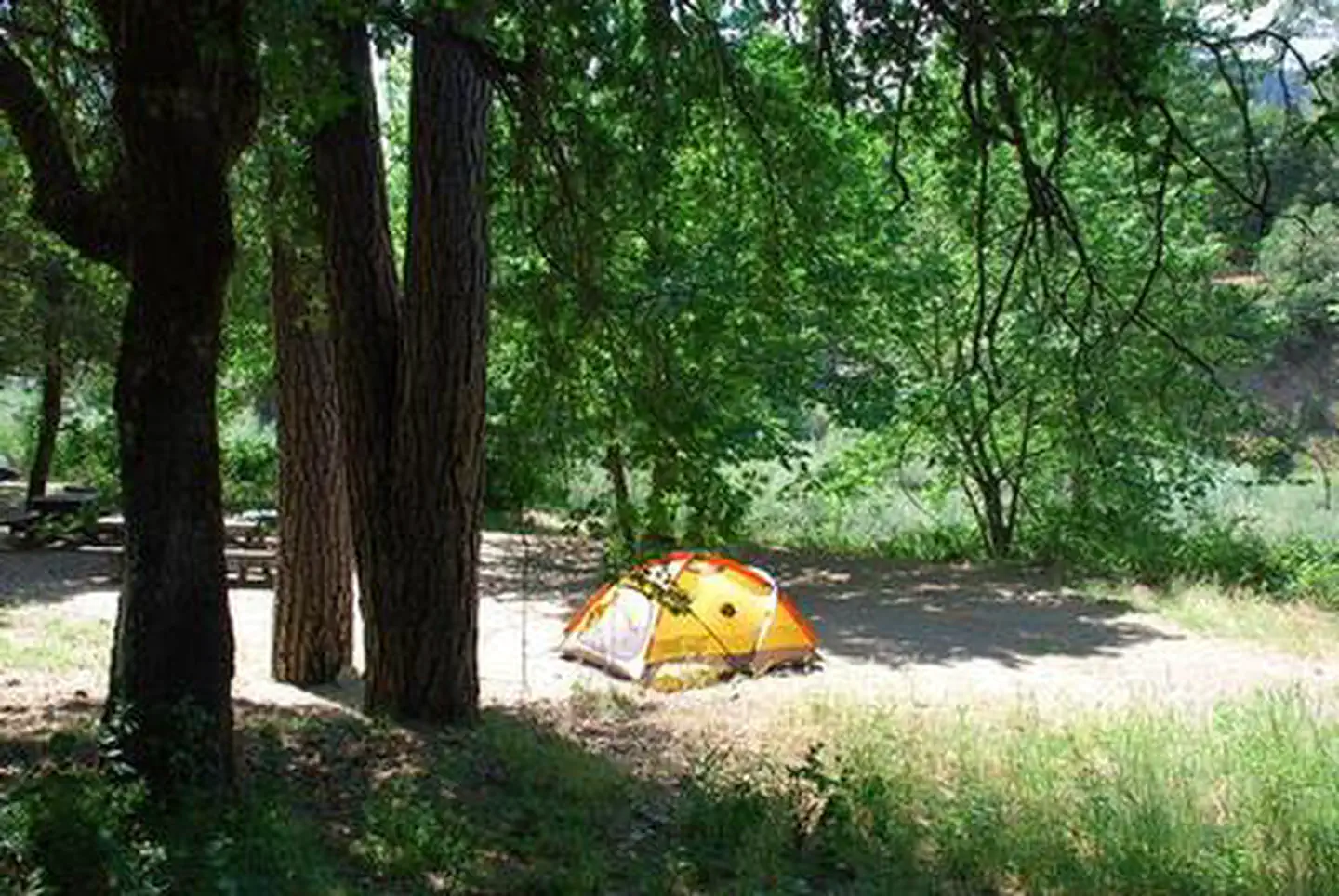 CURLY JACK CAMPGROUND photo 2