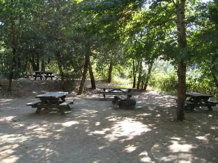 CURLY JACK CAMPGROUND photo 3