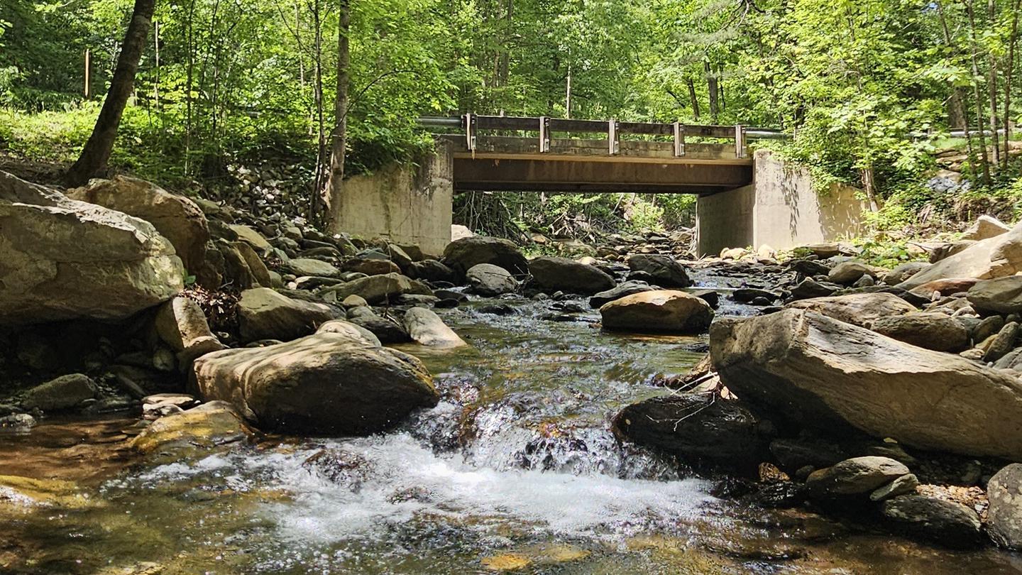 CURTIS CREEK CAMPGROUND (NC) photo