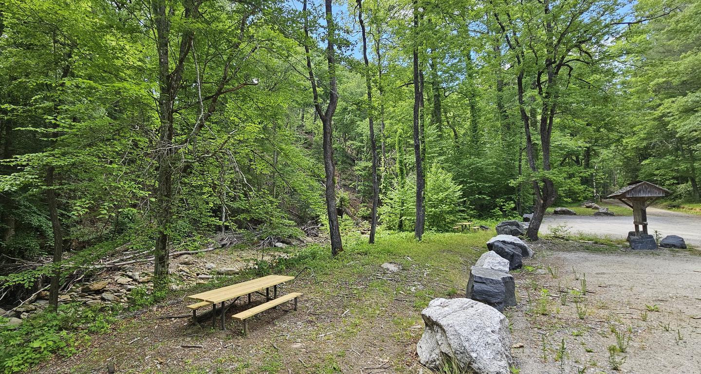 CURTIS CREEK CAMPGROUND (NC) photo 2