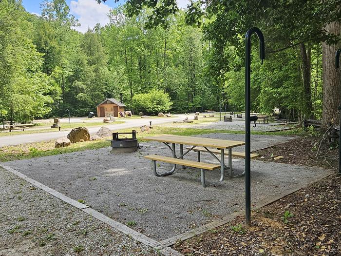 CURTIS CREEK CAMPGROUND (NC) photo 5