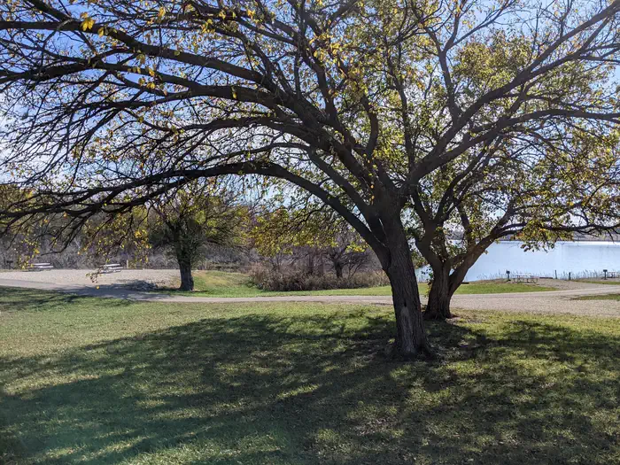CURTIS CREEK photo 3