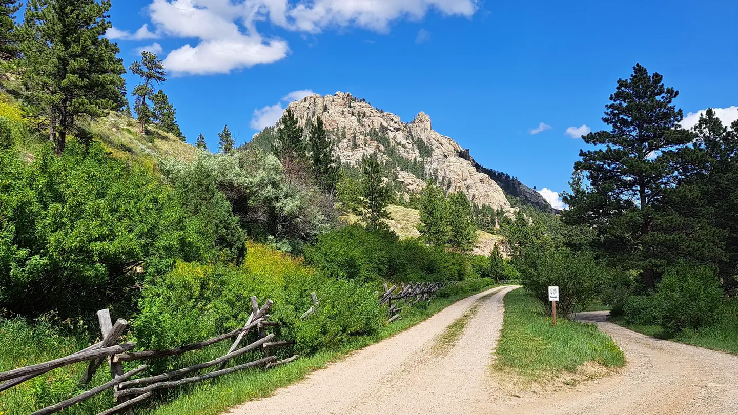 Curtis Gulch Campground photo