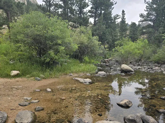 Curtis Gulch Campground photo 5