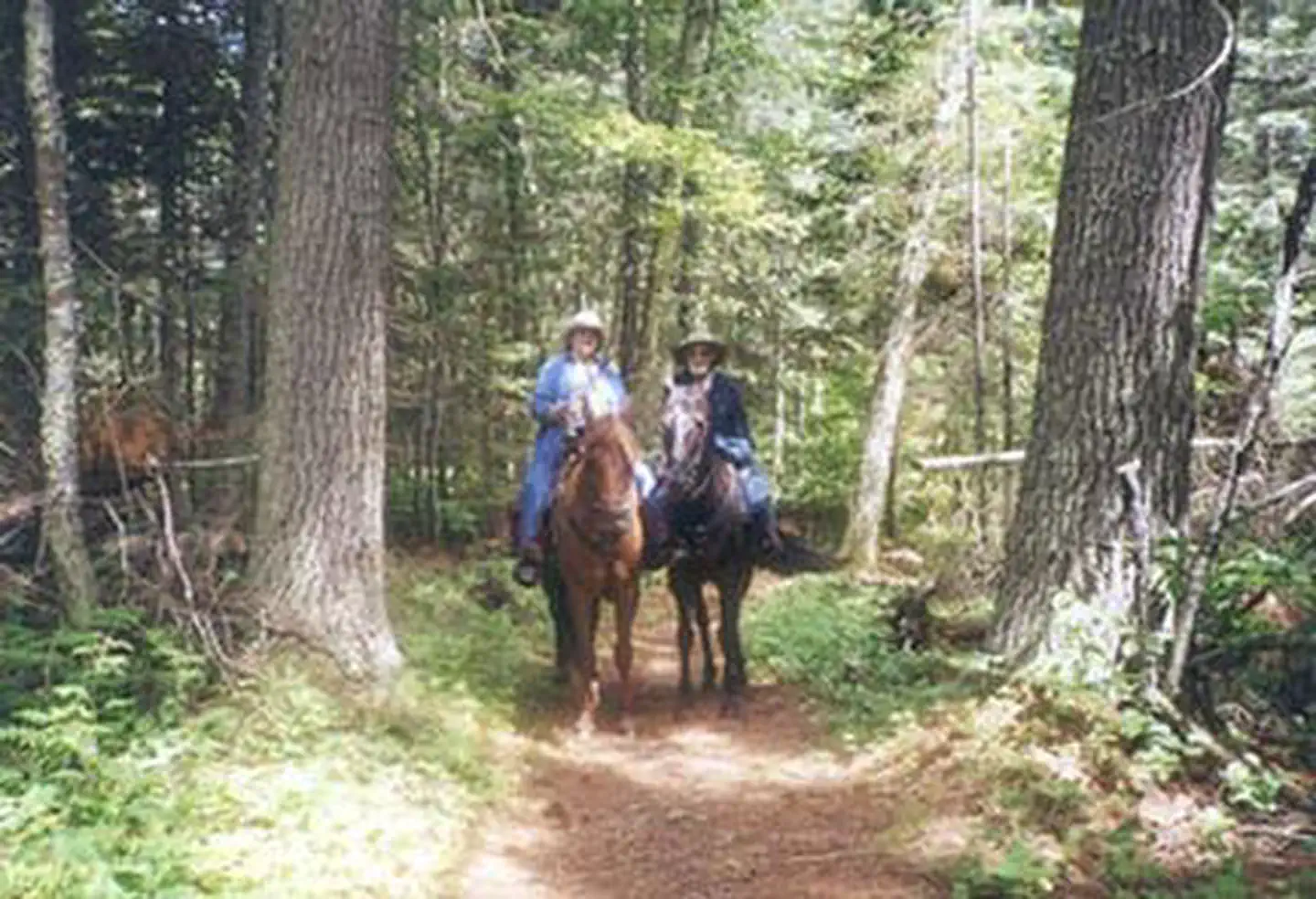 CUT FOOT HORSE CAMPGROUND photo