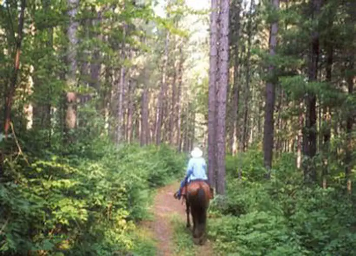 CUT FOOT HORSE CAMPGROUND photo 2