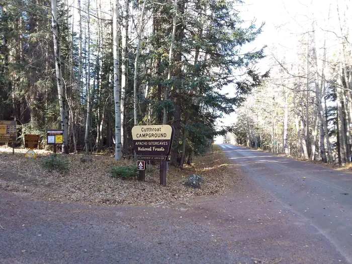 CUTTHROAT photo 2