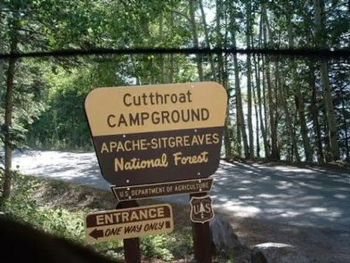 CUTTHROAT photo 3