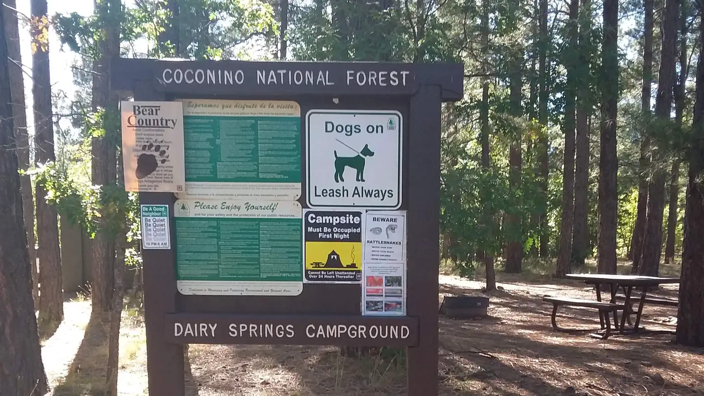DAIRY SPRINGS photo