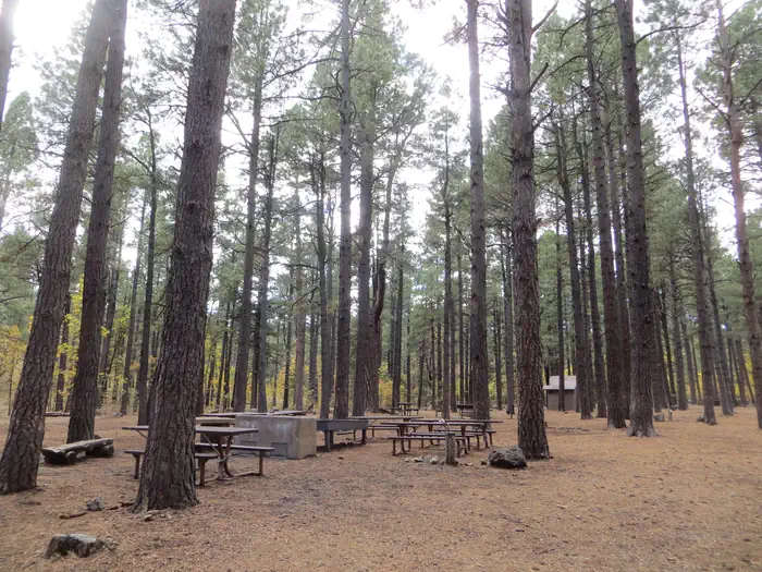 DAIRY SPRINGS photo 2