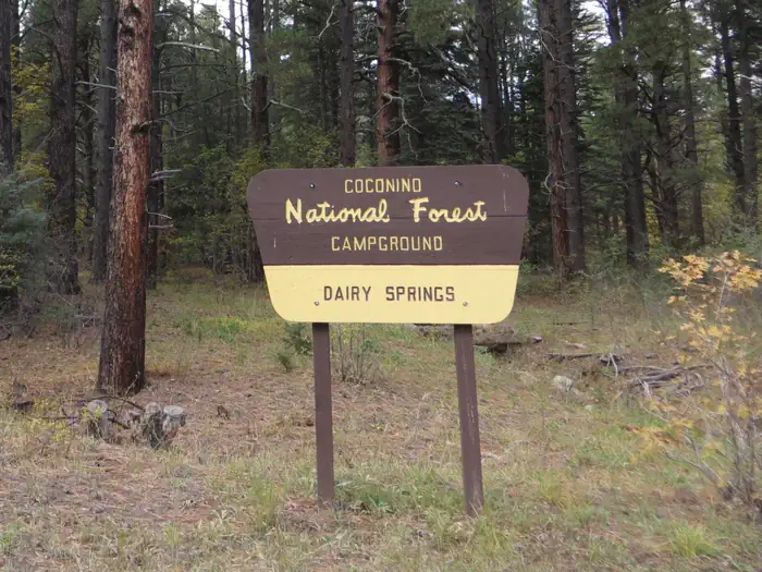 DAIRY SPRINGS photo 4