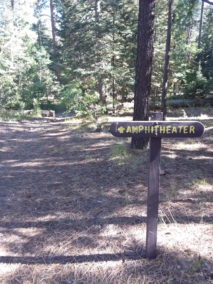 DAIRY SPRINGS photo 5