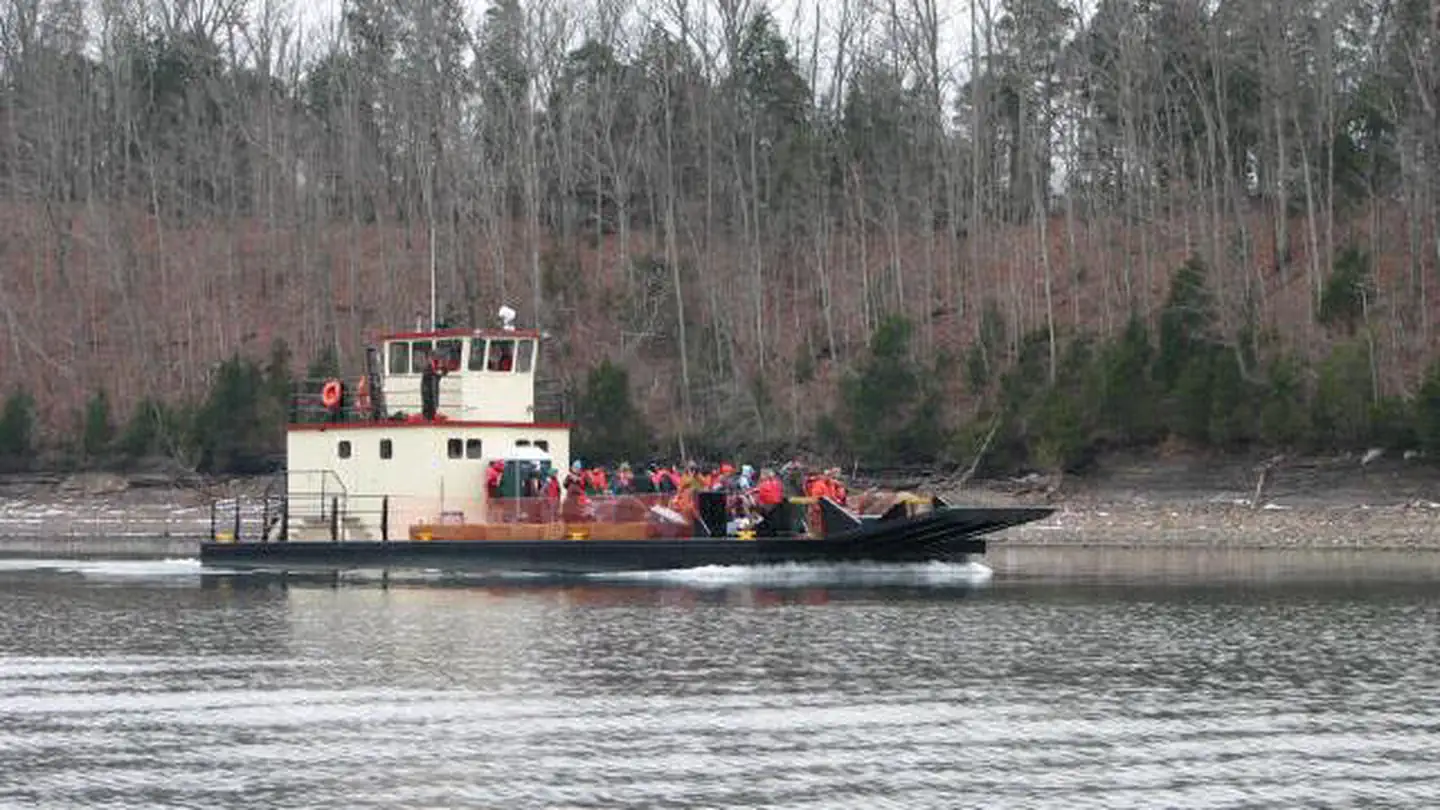 Dale Hollow Lake Eagle Watch photo